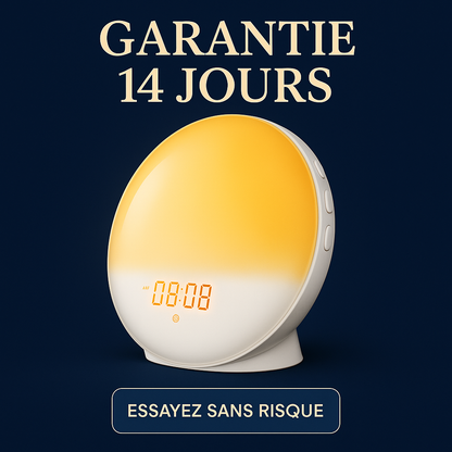 Sunrise Alarm Clock Wake Up Light Clock Sunrise/Sunset Simulation Digital Clock with Night Light FM Radio Desk Clocks