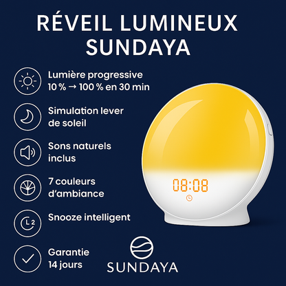 Sunrise Alarm Clock Wake Up Light Clock Sunrise/Sunset Simulation Digital Clock with Night Light FM Radio Desk Clocks